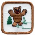 Bears
