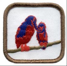 Bird Fun