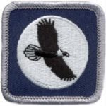 Bird of Prey