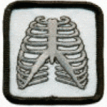 Bones