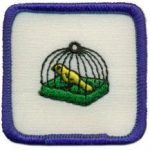 Caged Pets