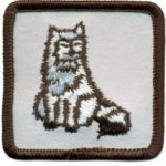 Cat Pets