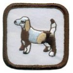 Dog Pets