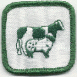 Farm Animals