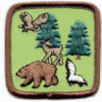 Forest Animals