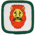 Lions