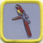 Parrot