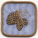 Pine Cone Craft