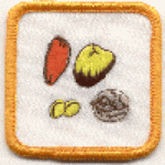 Seed Fun