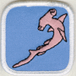Sharks