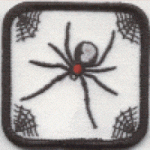Spiders
