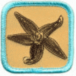 Starfish