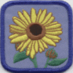 Sun Flowers