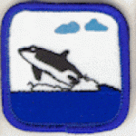 Whales