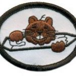 Beavers