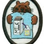 Milk Carton Crafts