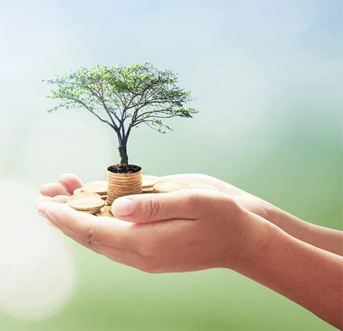 Endowments — tree growing from coins in hands