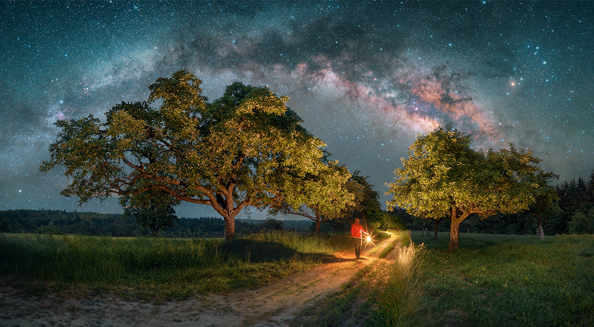 Night Hike