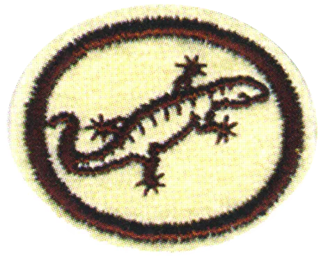 Reptiles Honor
