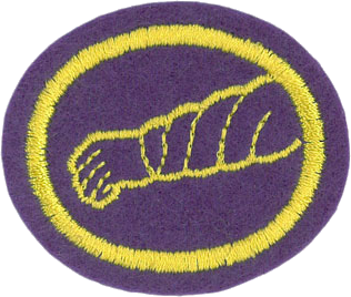 Health & Healing Honor