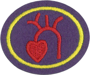 Heart & Circulation Honor