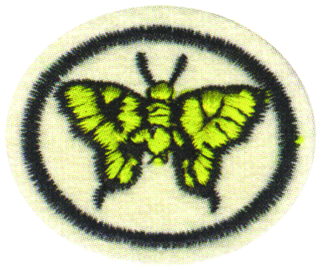 Moths & Butterflies Honor