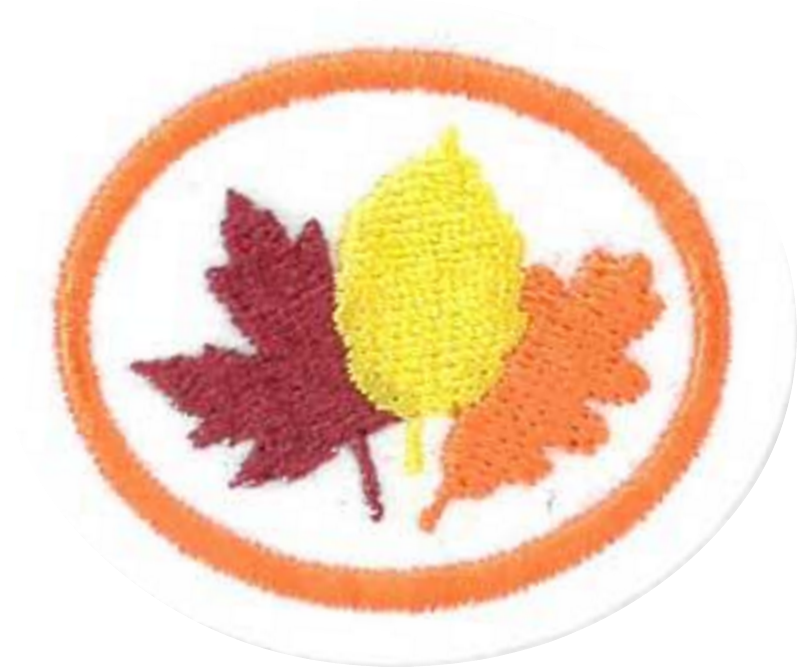 Temperate Deciduous Forests Honor