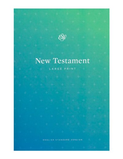 New Testament (7-pack)
