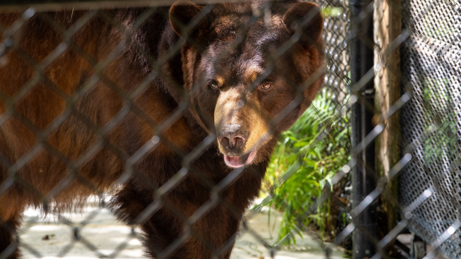 Zoo and Nature Center