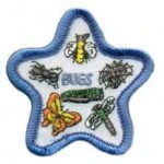 Bugs