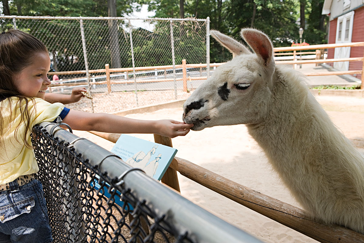 Petting Zoo