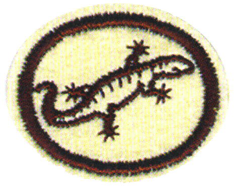 Reptiles
