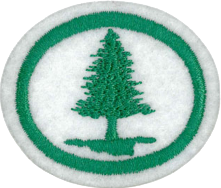 Trees