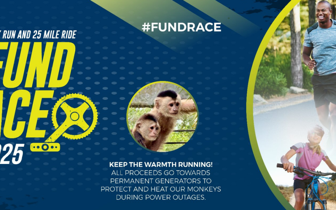 Camp Kulaqua FundRace