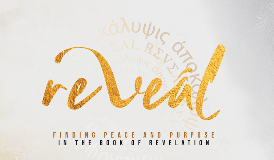 Reveal Series with Richie Halversen